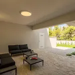 Luxe With Pool, Jacuzzi, And Sauna